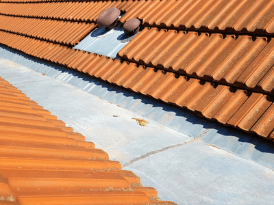 About Leaking Skylight Repair Pros Palmyra, NE